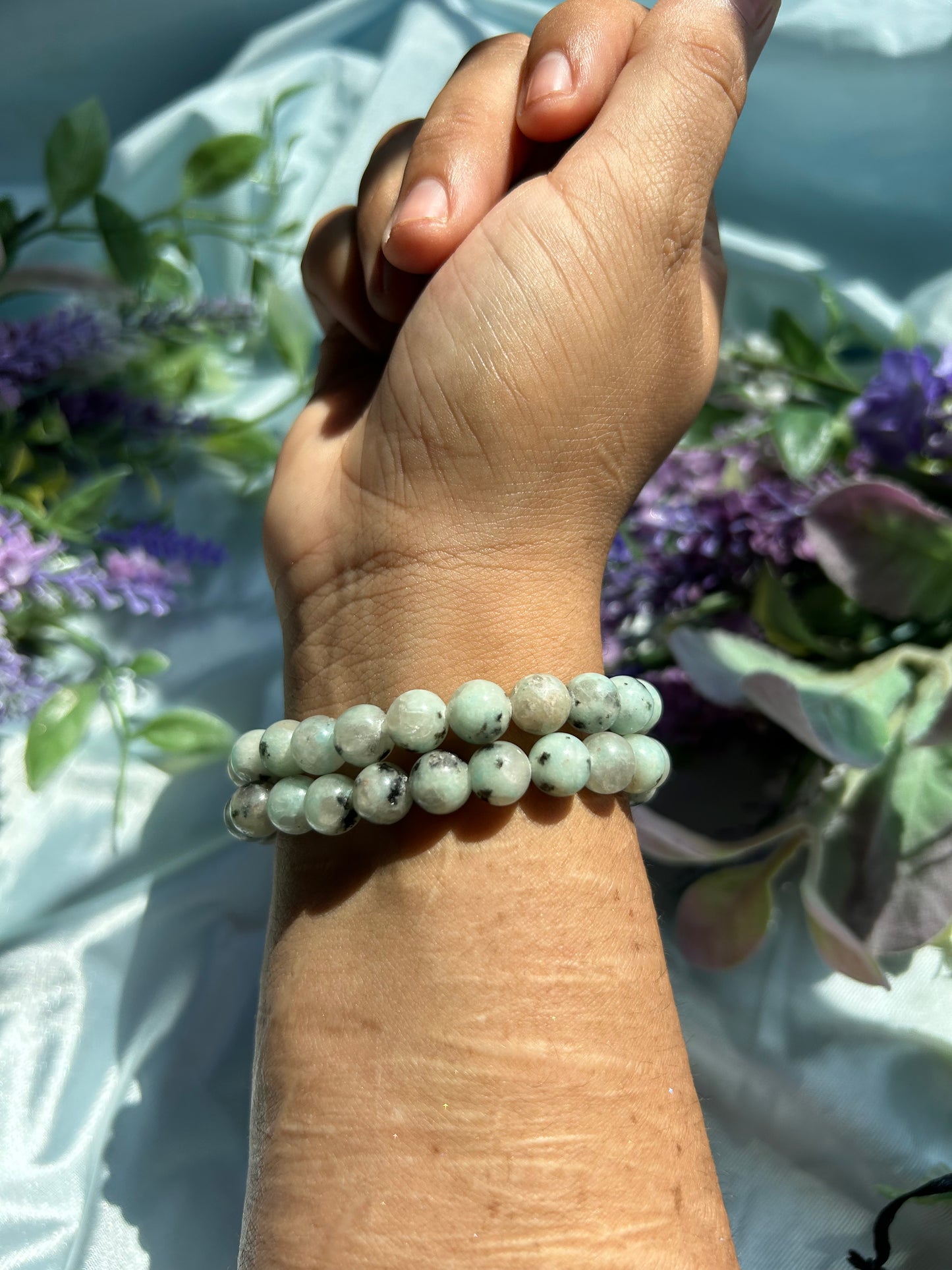 CHRYSALIS•COLLECTION