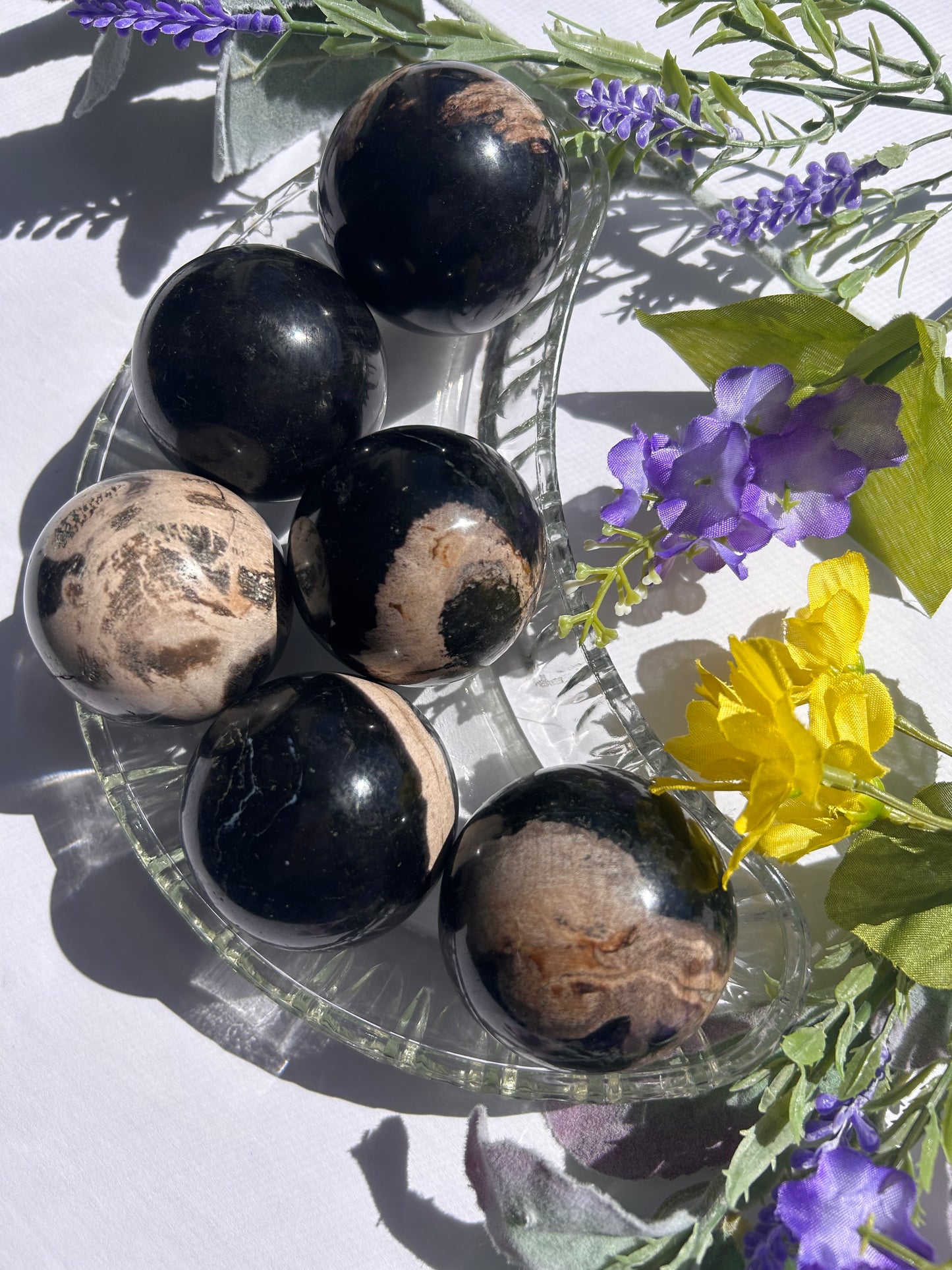 PETRIFIED PALM ROOT SPHERES