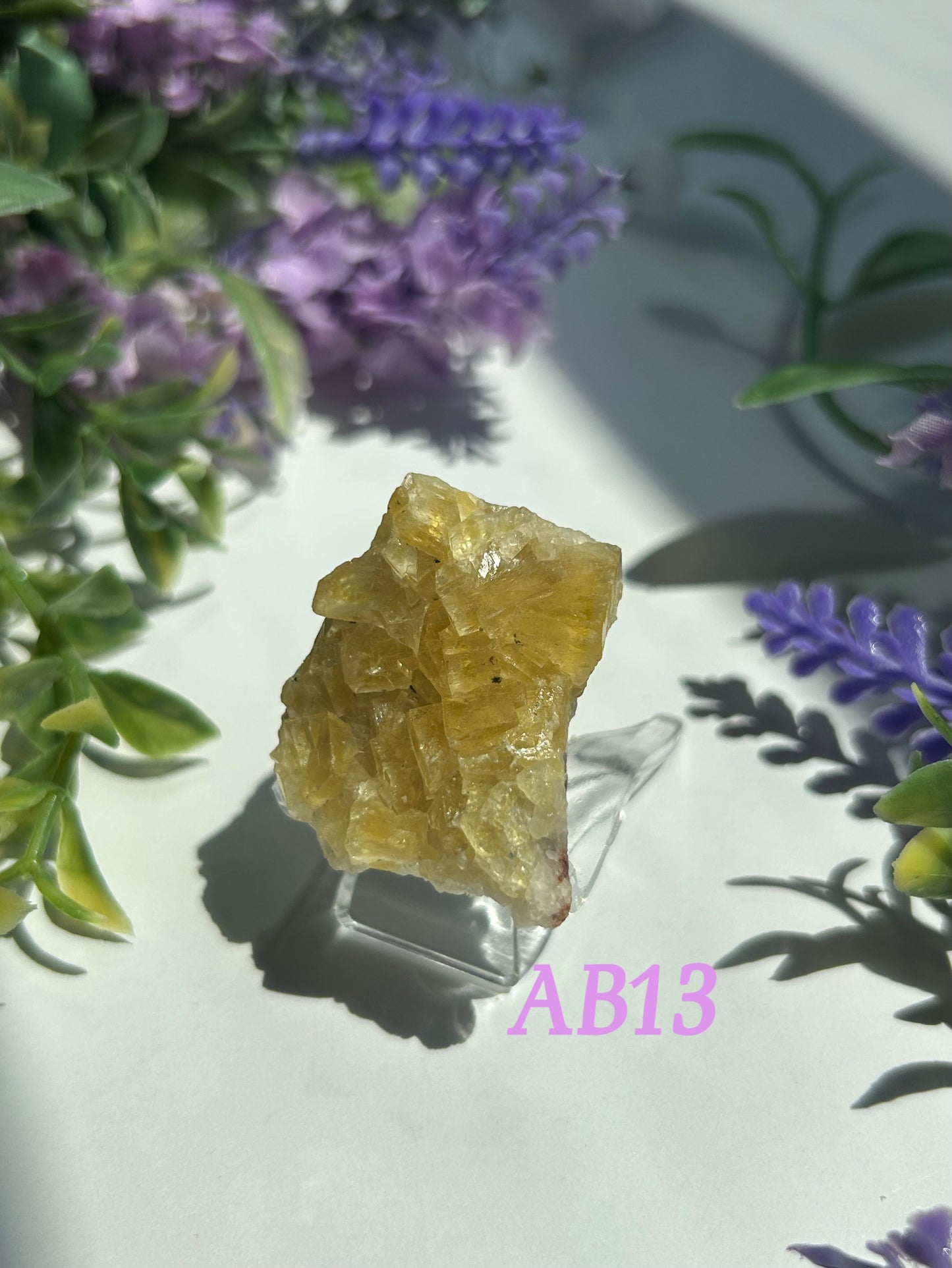 GOLDEN YELLOW FLUORITE SPECIMENS (from the Moscona Mine, Spain)