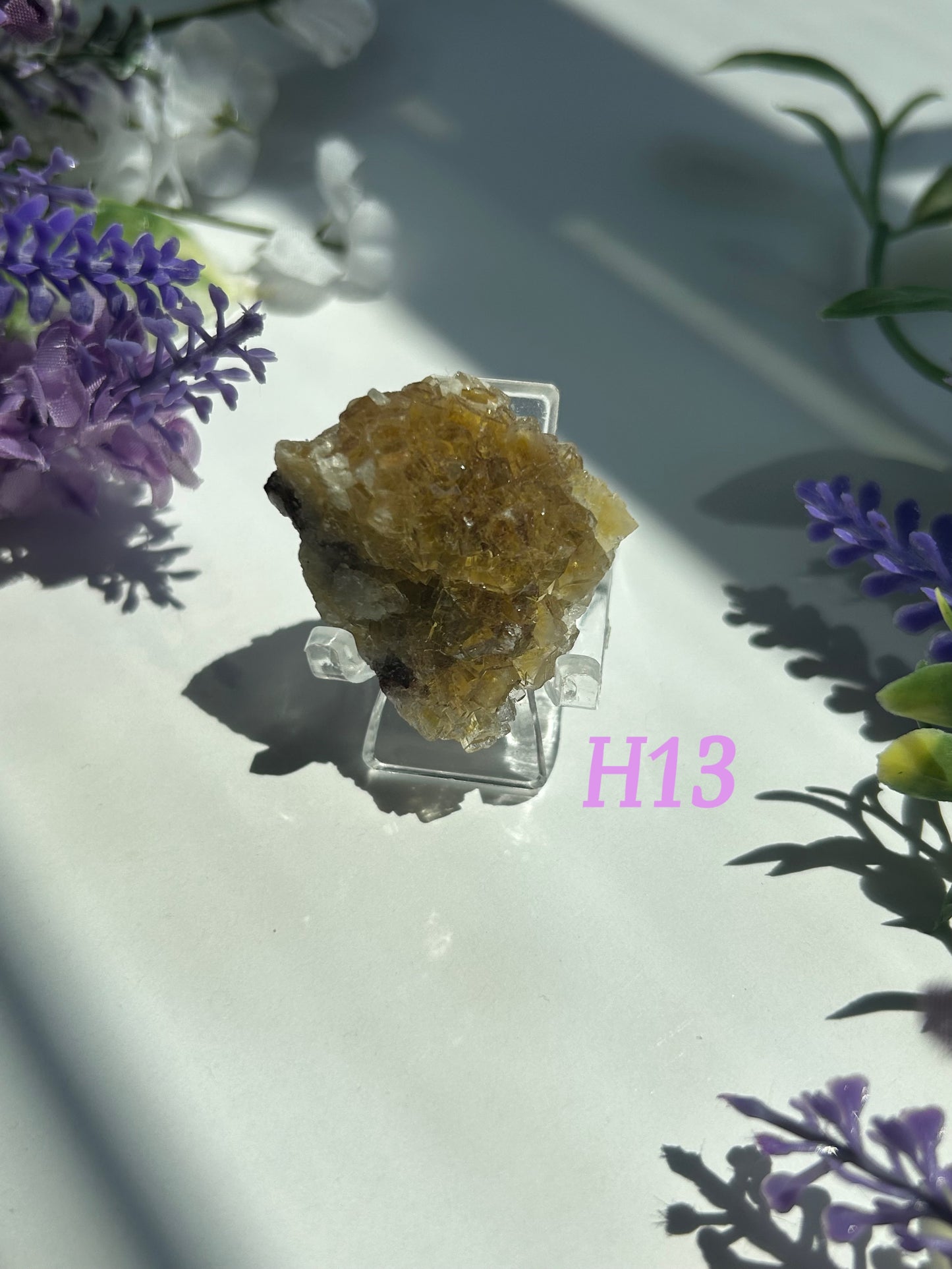 GOLDEN YELLOW FLUORITE SPECIMENS (from the Moscona Mine, Spain)