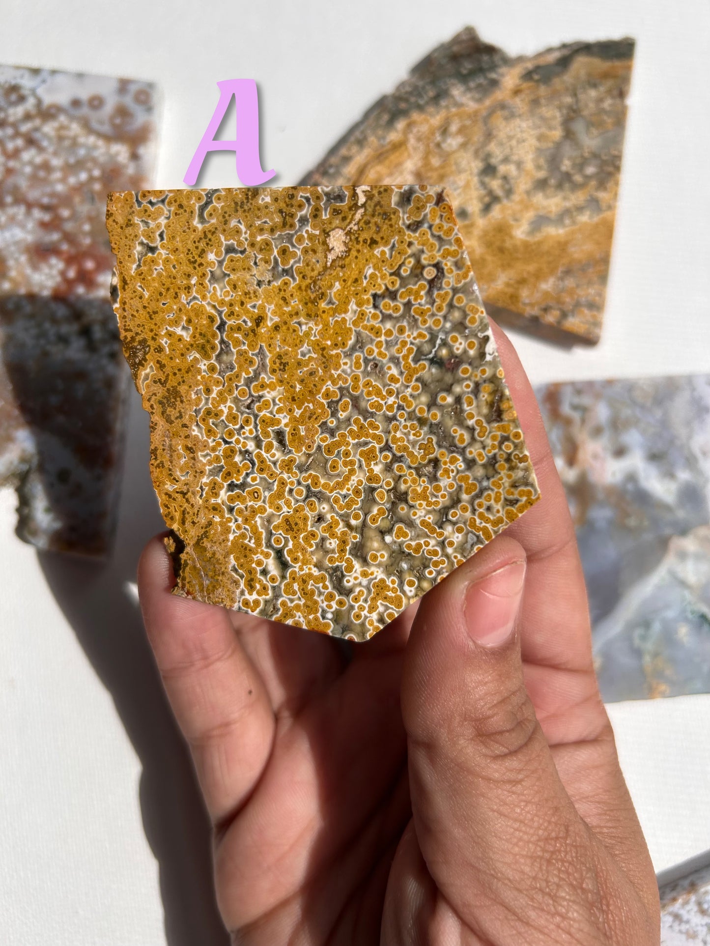 ORBICULAR OCEAN JASPER SLABS