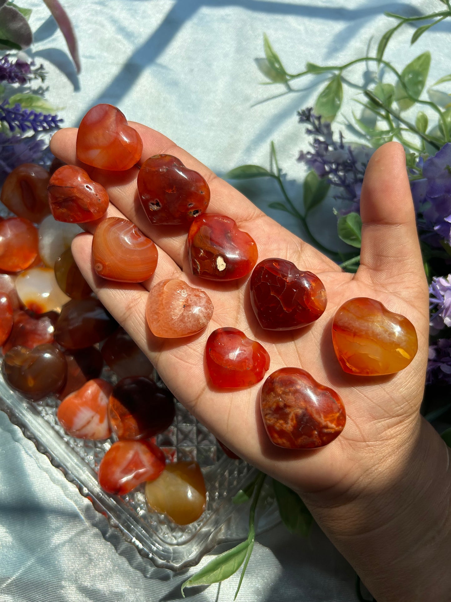 CARNELIAN HEARTS