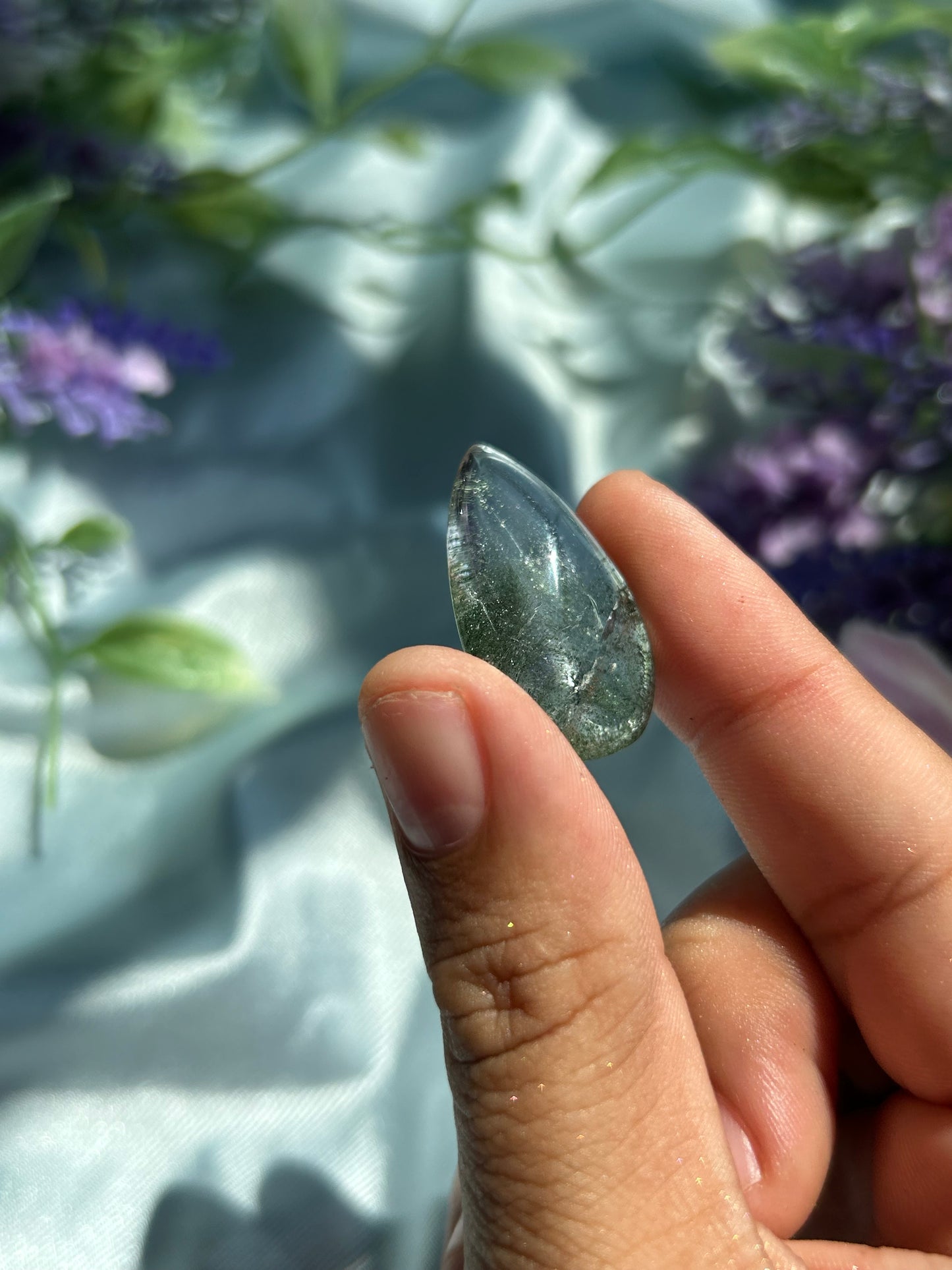 CHRYSALIS•COLLECTION