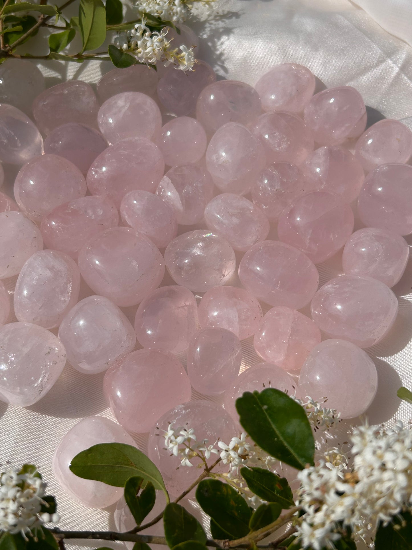 ROSE QUARTZ TUMBLES