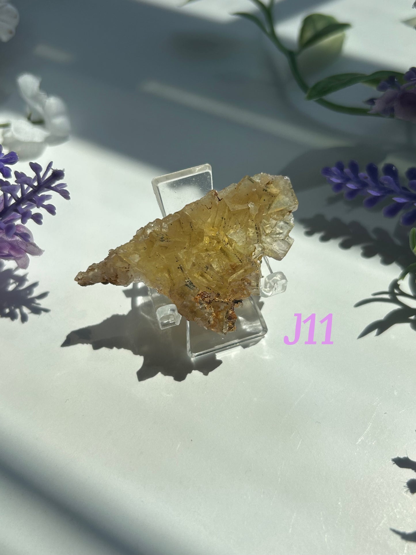 GOLDEN YELLOW FLUORITE SPECIMENS (from the Moscona Mine, Spain)