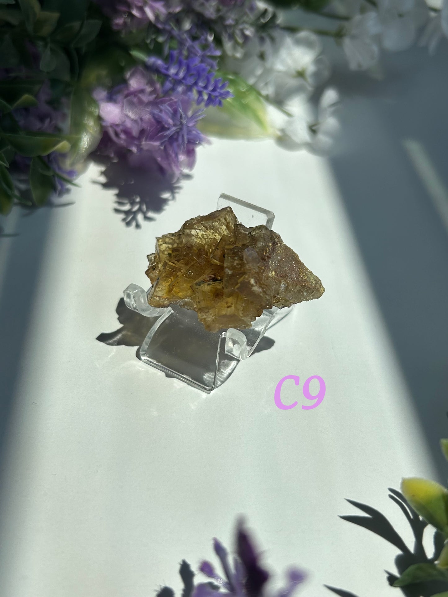 GOLDEN YELLOW FLUORITE SPECIMENS (from the Moscona Mine, Spain)