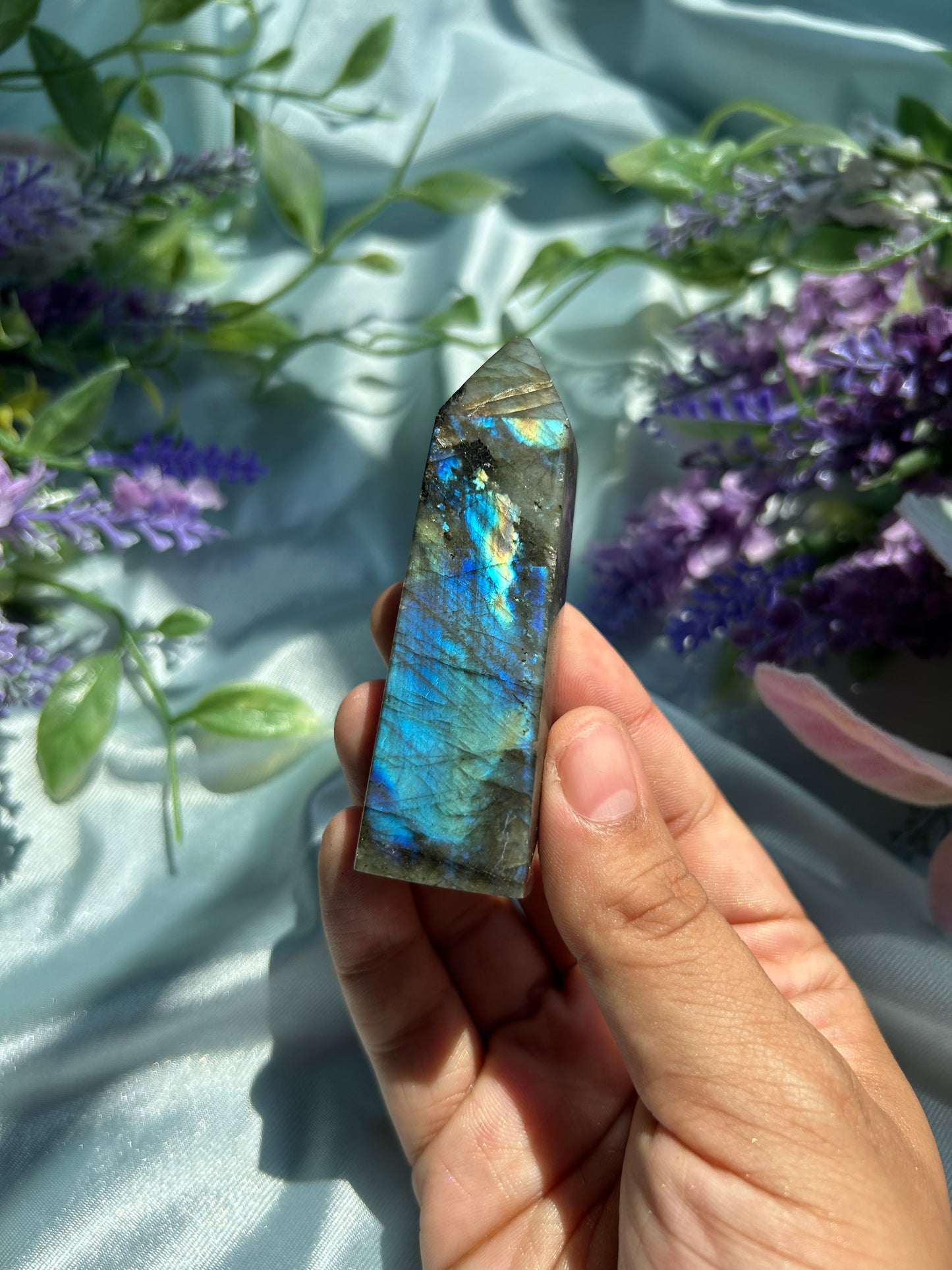 CHRYSALIS•COLLECTION