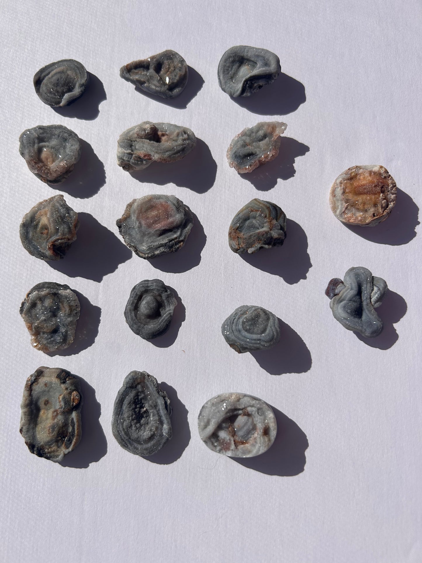 CHALCEDONY ROSES FROM URUGUAY