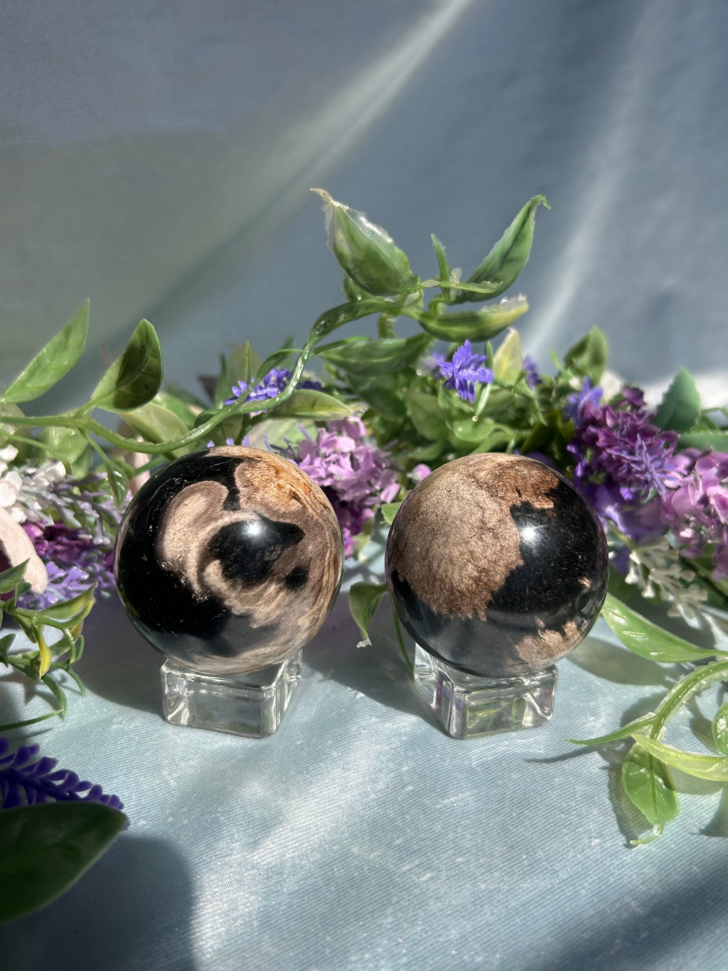 PETRIFIED PALM ROOT SPHERES