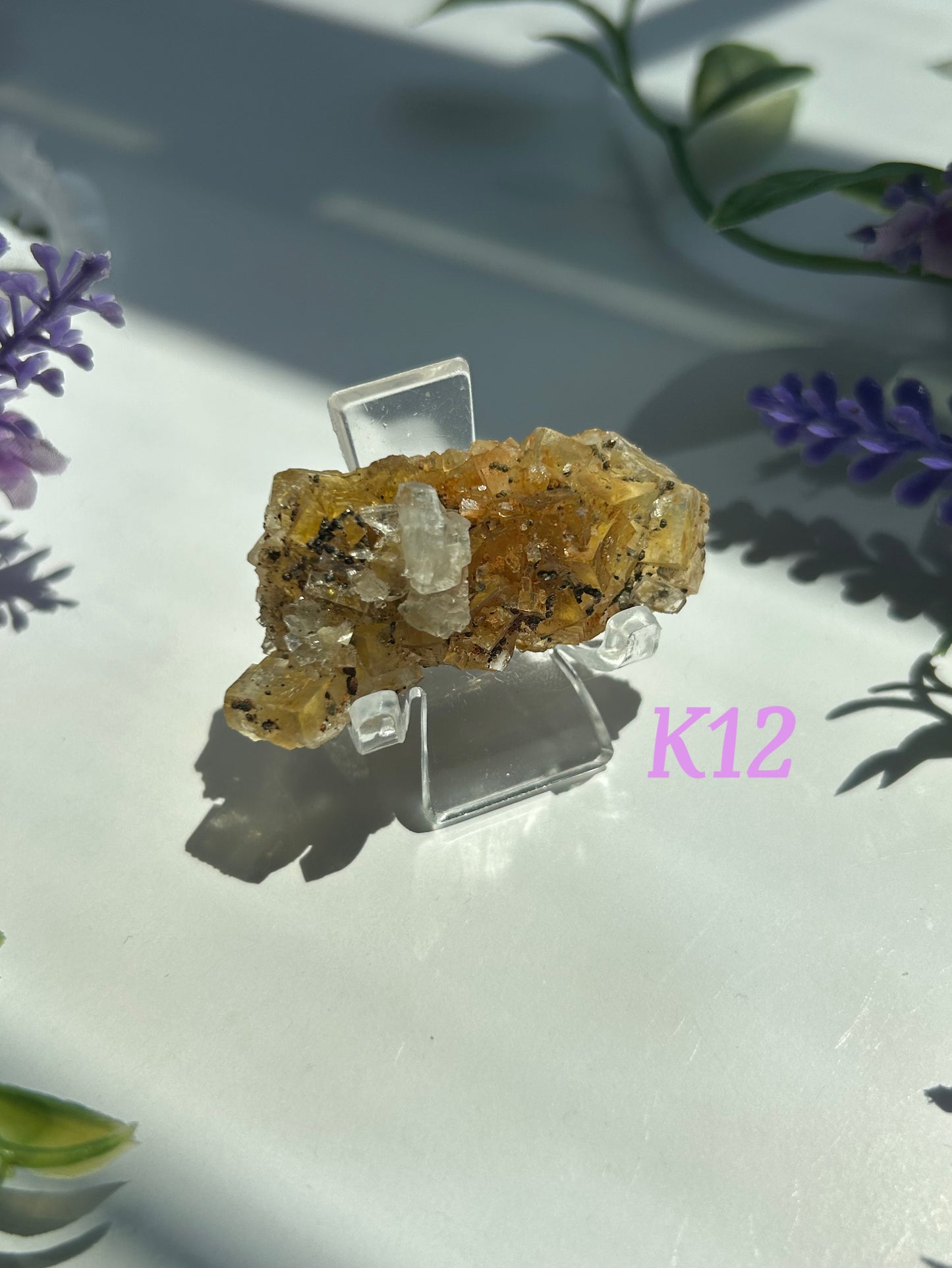 GOLDEN YELLOW FLUORITE SPECIMENS (from the Moscona Mine, Spain)