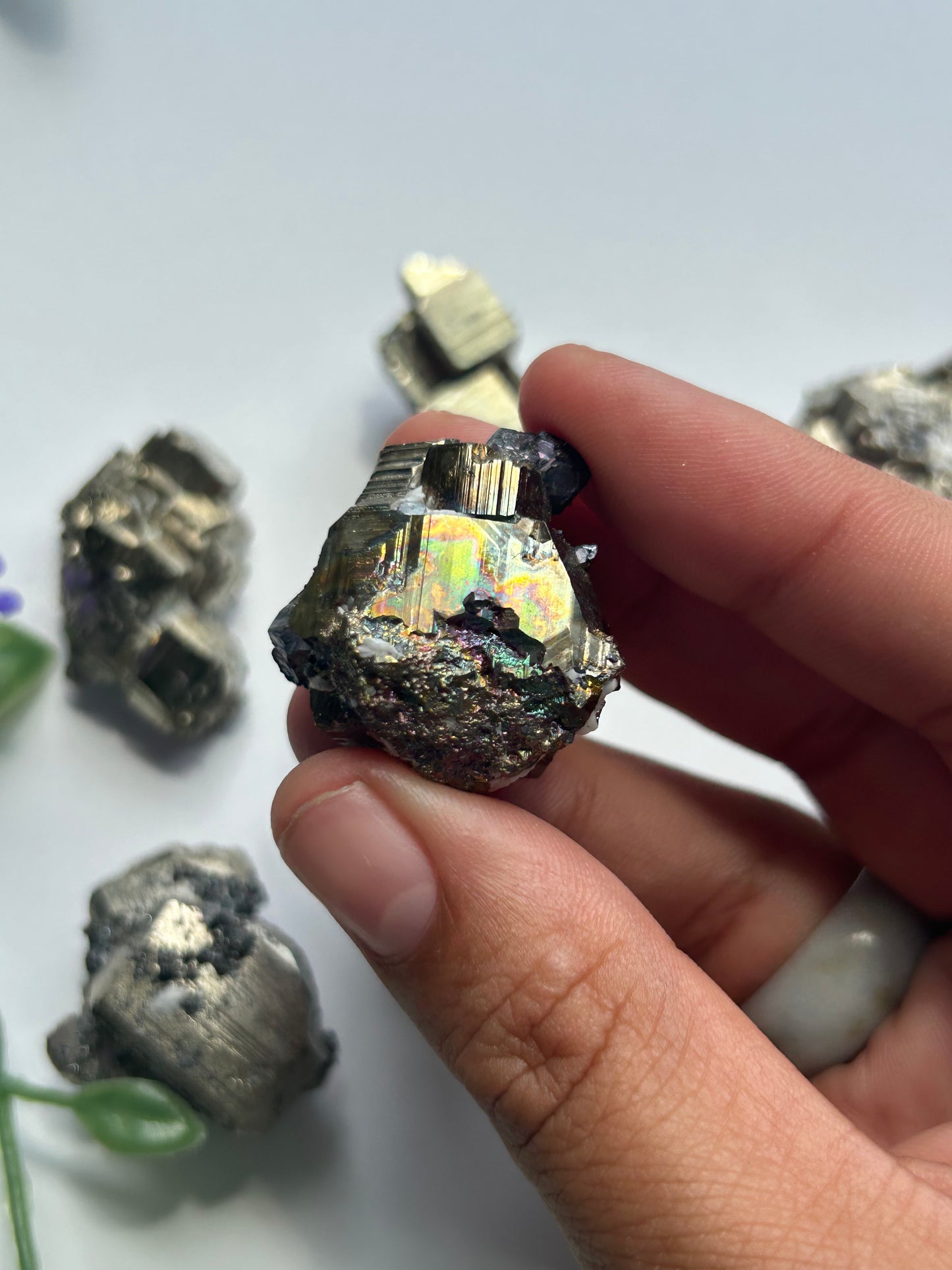 RAW IRIDESCENT PYRITE SPECIMENS (Mexico)