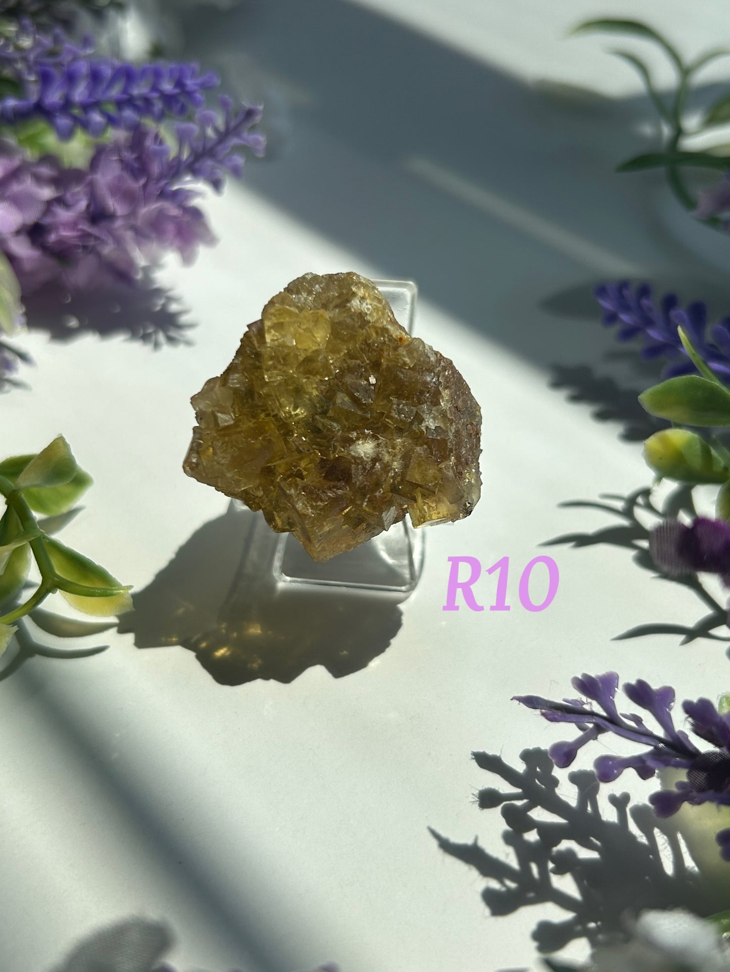 GOLDEN YELLOW FLUORITE SPECIMENS (from the Moscona Mine, Spain)