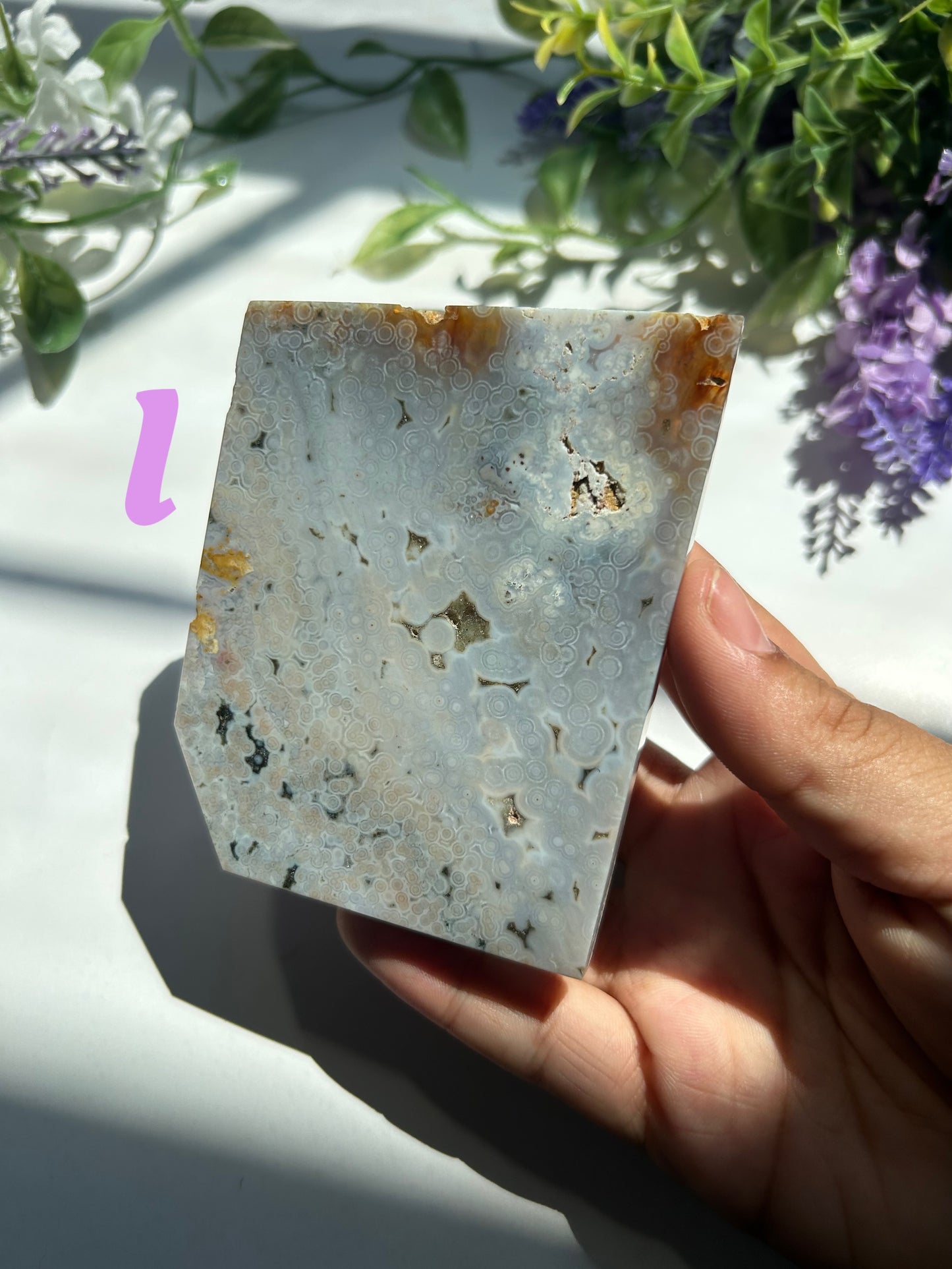 ORBICULAR OCEAN JASPER SLABS