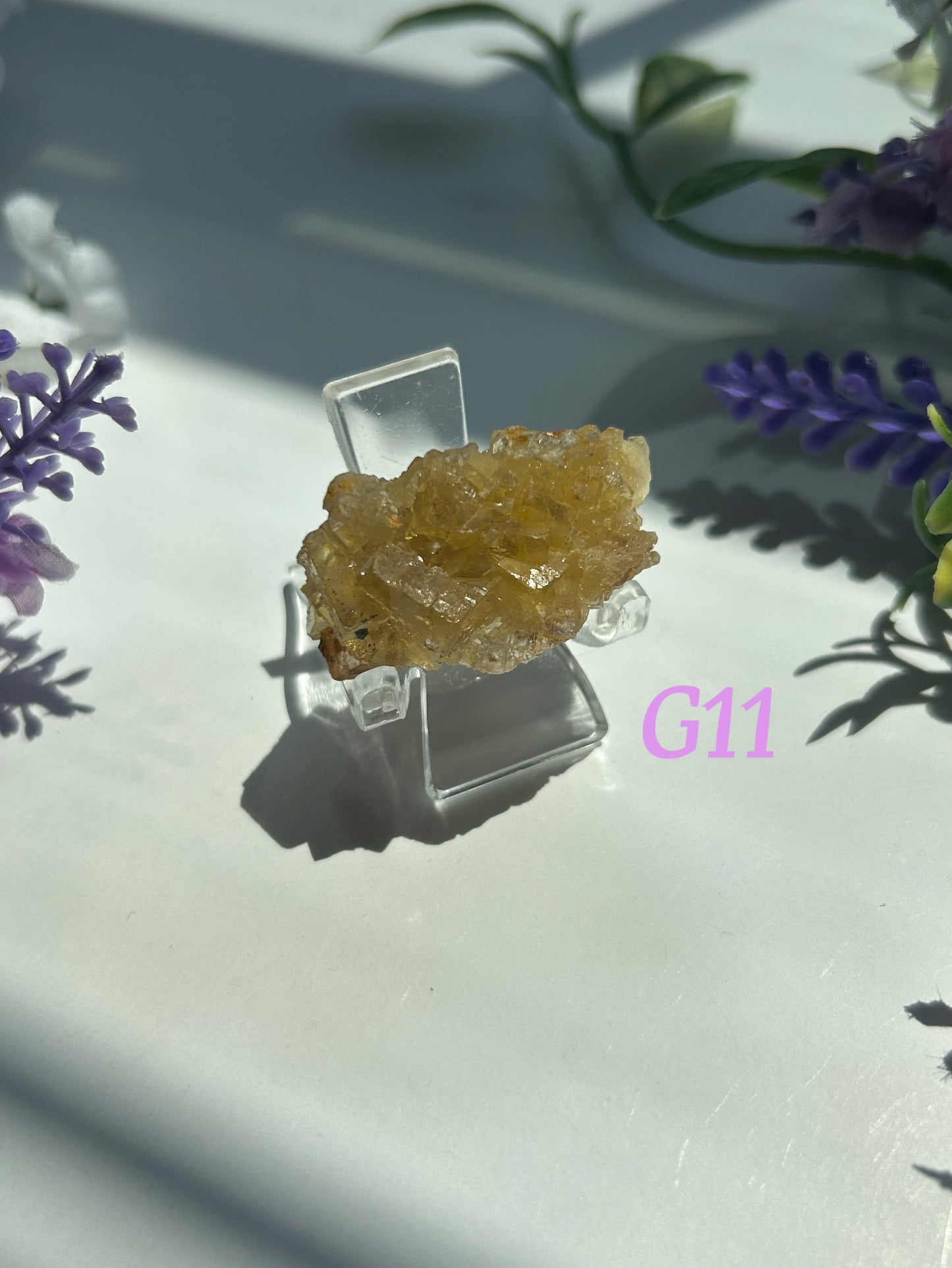 GOLDEN YELLOW FLUORITE SPECIMENS (from the Moscona Mine, Spain)
