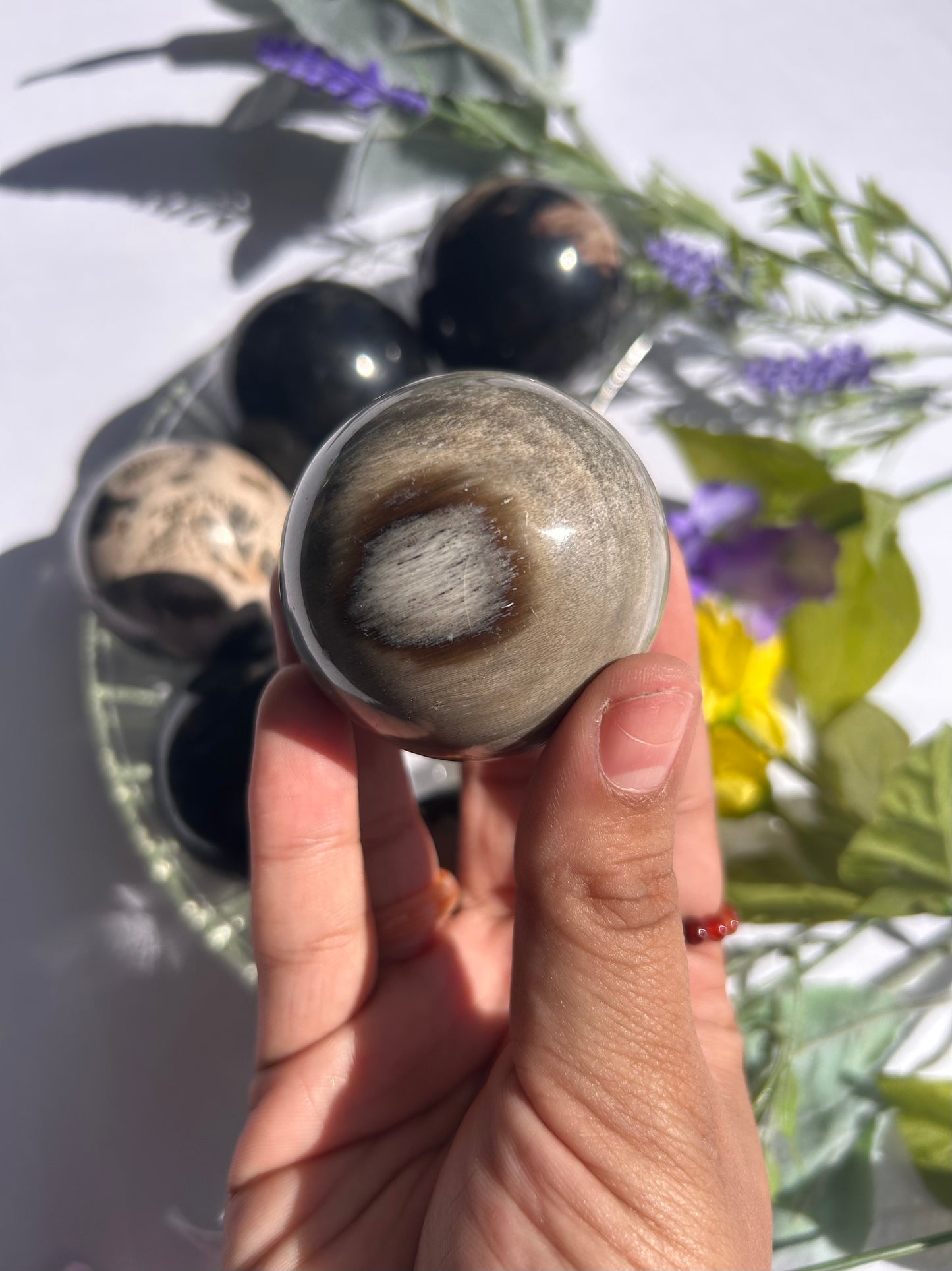PETRIFIED PALM ROOT SPHERES