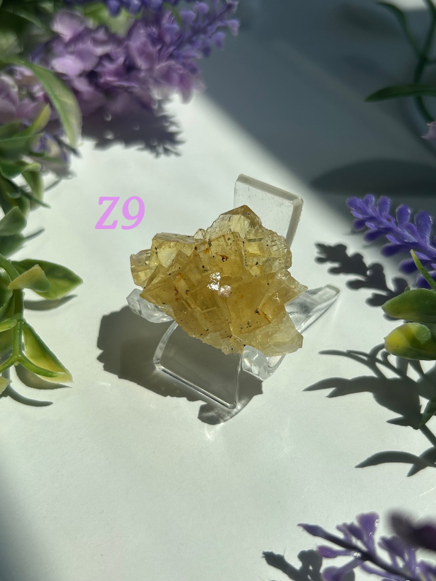 GOLDEN YELLOW FLUORITE SPECIMENS (from the Moscona Mine, Spain)