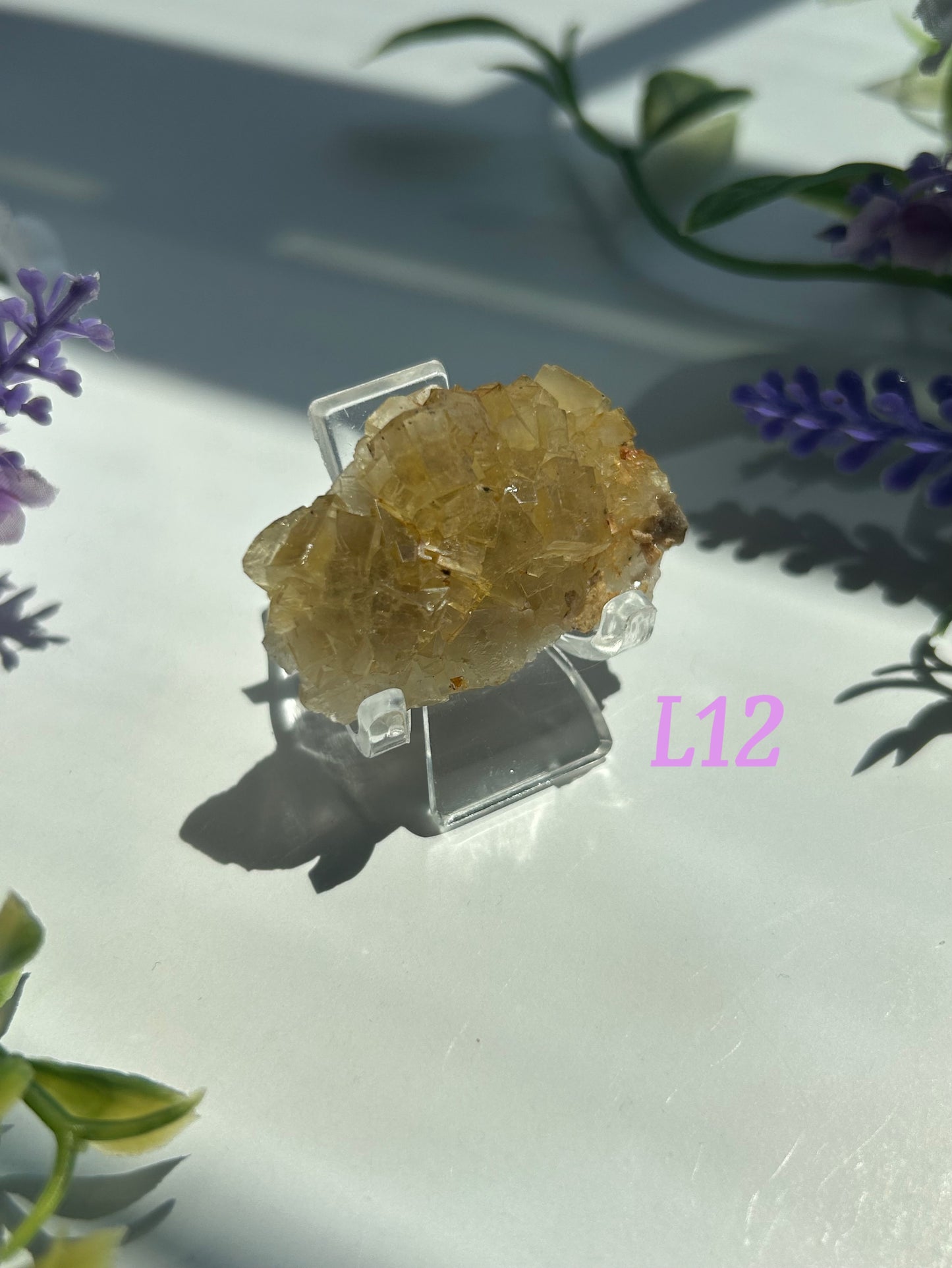 GOLDEN YELLOW FLUORITE SPECIMENS (from the Moscona Mine, Spain)