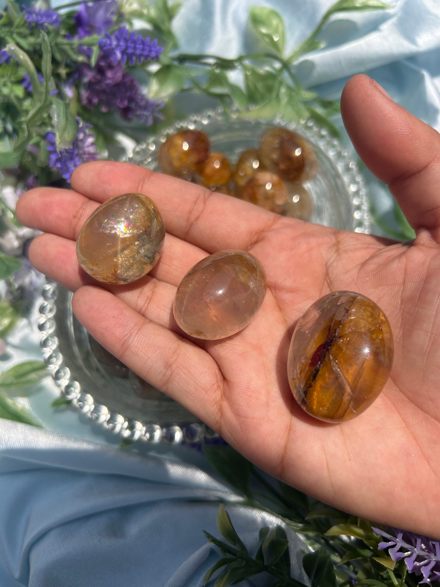 STAR GOLDEN HEALER TUMBLES