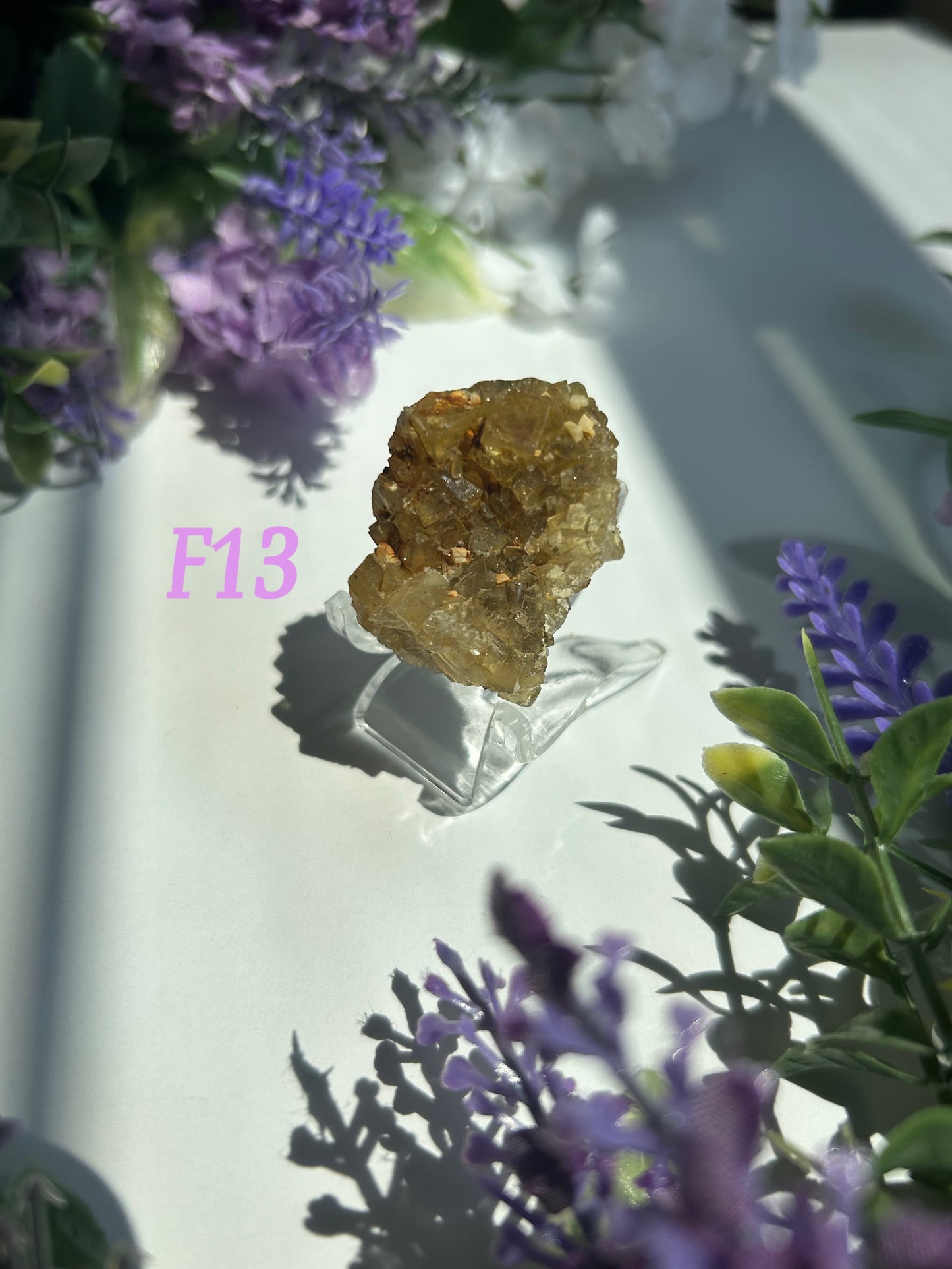 GOLDEN YELLOW FLUORITE SPECIMENS (from the Moscona Mine, Spain)