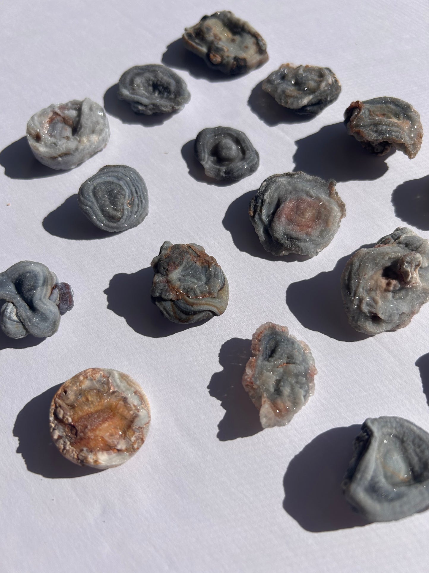 CHALCEDONY ROSES FROM URUGUAY
