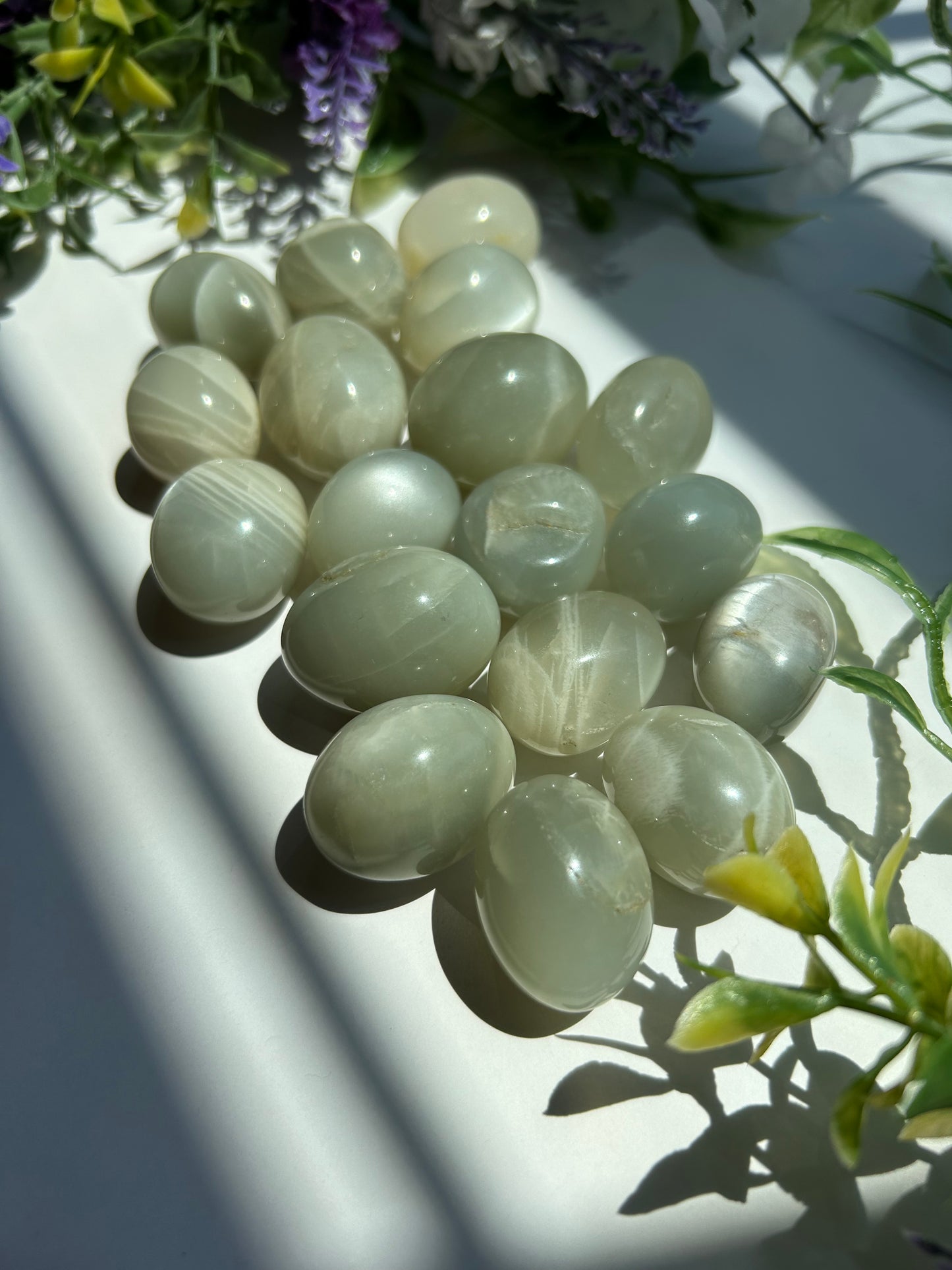 SAGE MOONSTONE TUMBLES