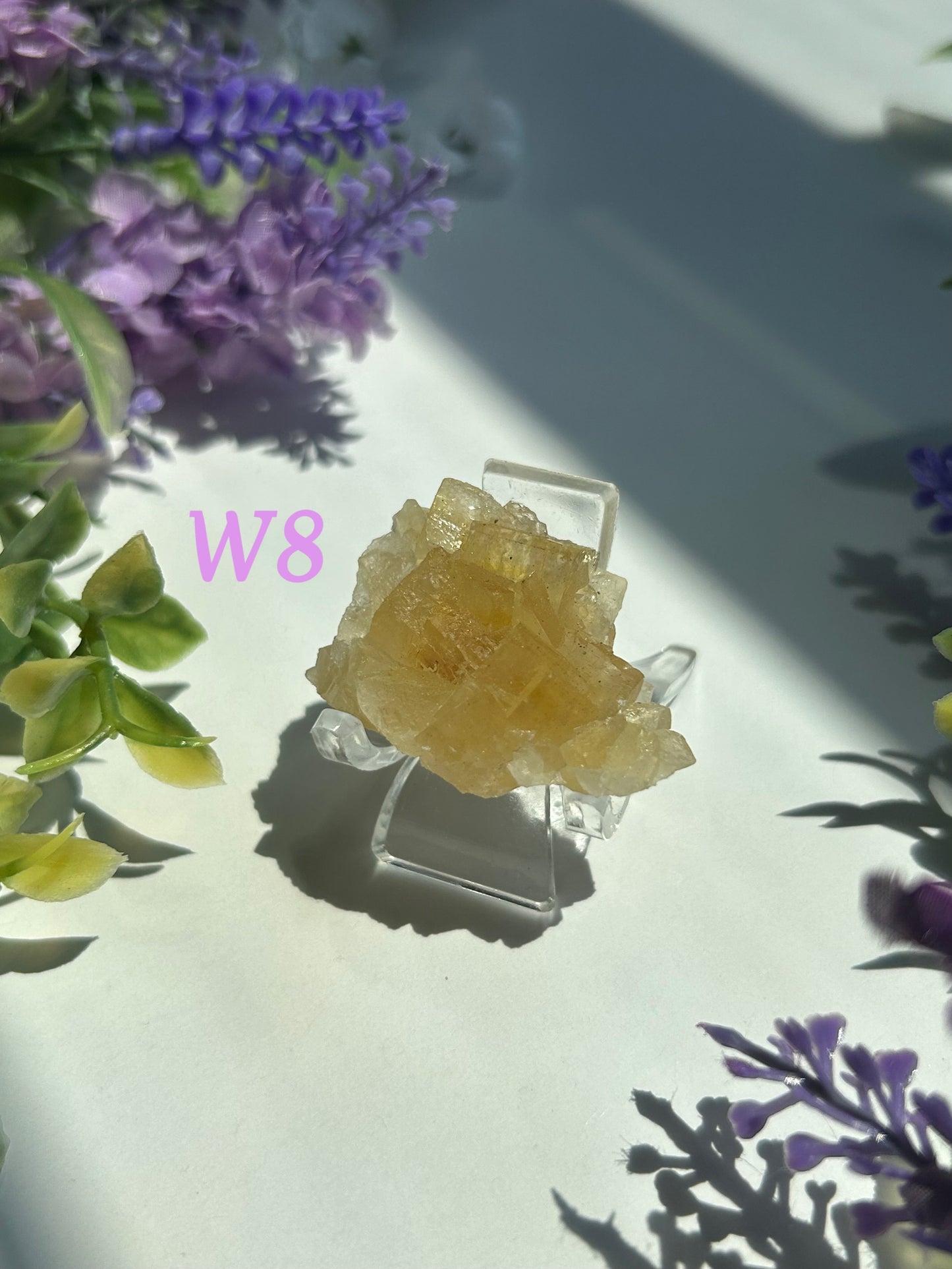 GOLDEN YELLOW FLUORITE SPECIMENS (from the Moscona Mine, Spain)