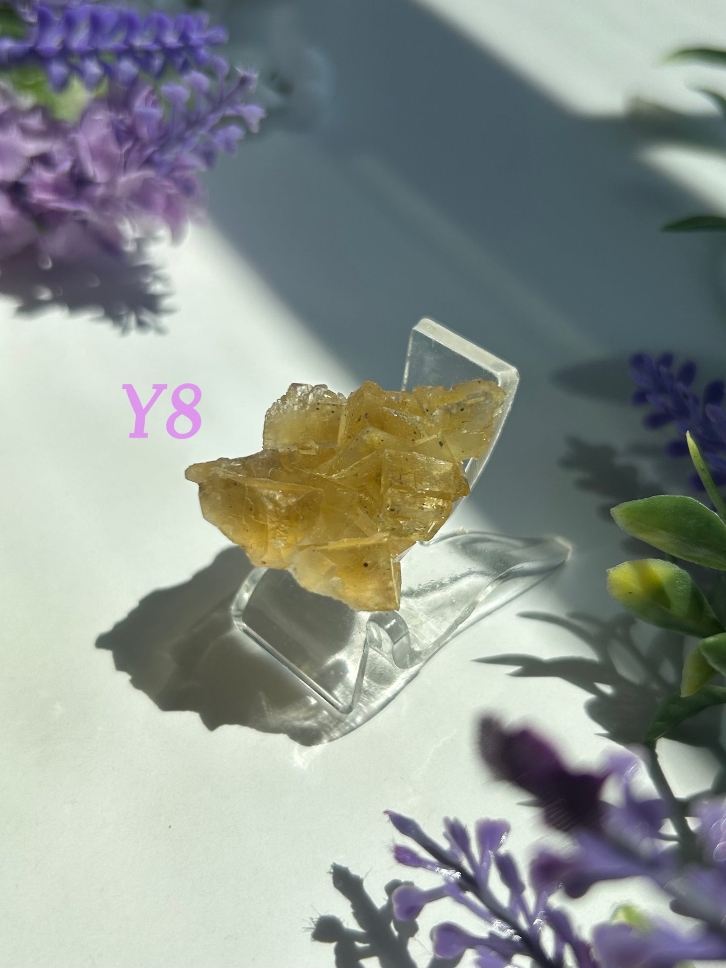 GOLDEN YELLOW FLUORITE SPECIMENS (from the Moscona Mine, Spain)